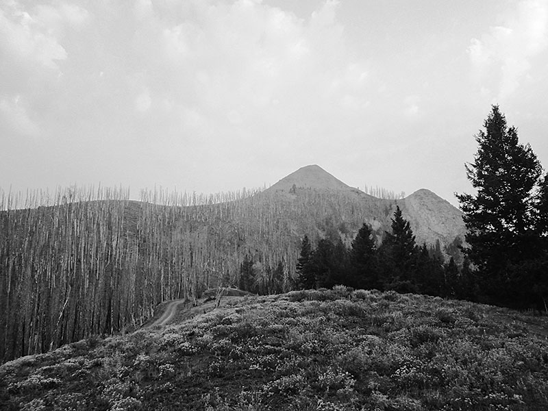 Dollarhide-Summit-view.-In-1969-our-helicopter-would-have-taken-off-from-near-where-this-photo-was-taken.-Ray-Brooks-2021.GS_