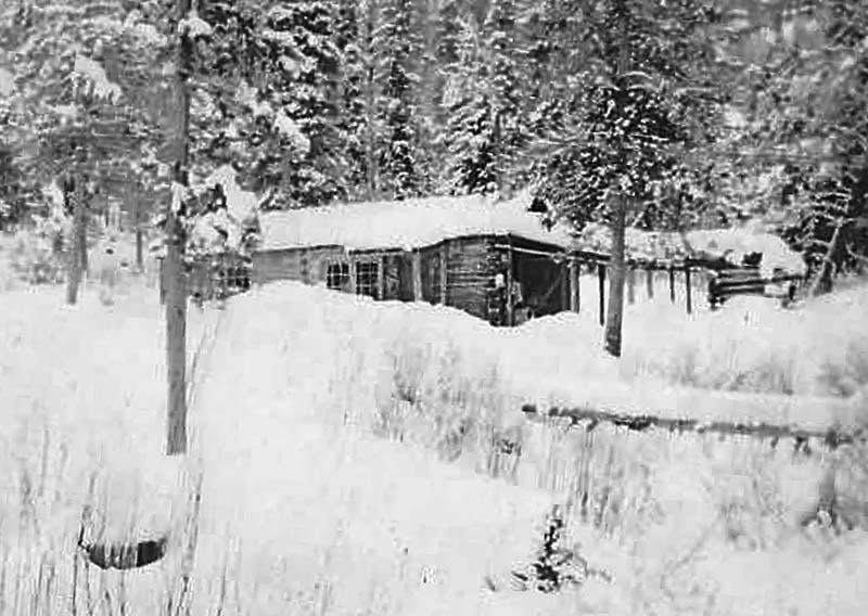 CabinWinter