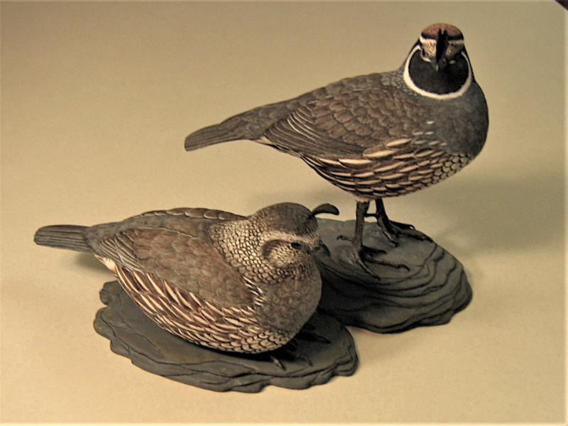 2020-California-Quail-Pair-2