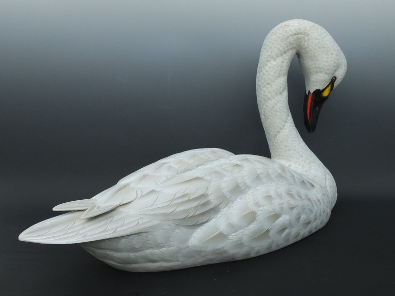 Tundra-Swan