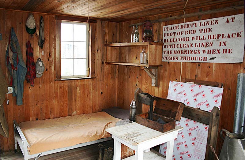 Sawyer_s-cabin-at-Bradbury-Museum_MaryReed