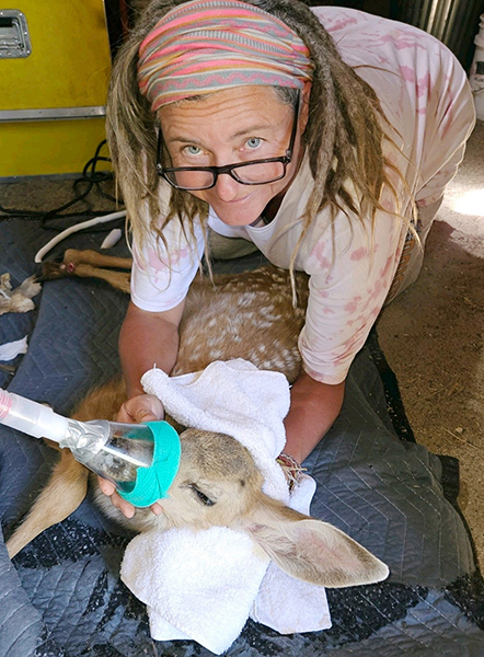 Sanctuary-Veterinarian-Dr.-Linda-Donerkiel