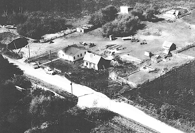 Road_dividing_Neal_Smith_homes_1961