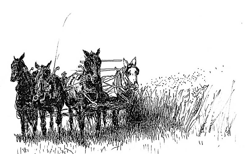 HorseTeam