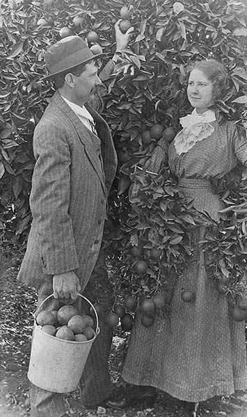 Postcard1912StMariesOrchard_WaterArchives