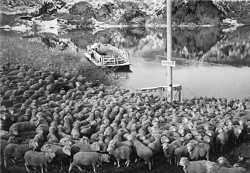 IdahoFerryC1915_WaterArchives