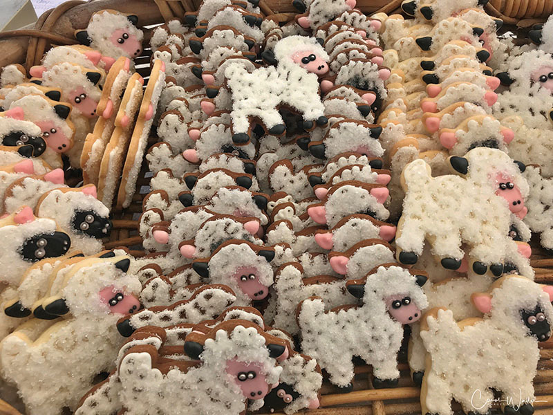 Culinary_Sheep-cookies-close-up-best.-Credit-Carol-WallerX