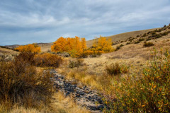 Along Current Creek, Ada County, ID