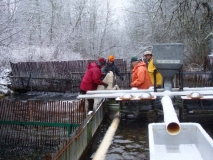 Holding pond, weir, spawning table