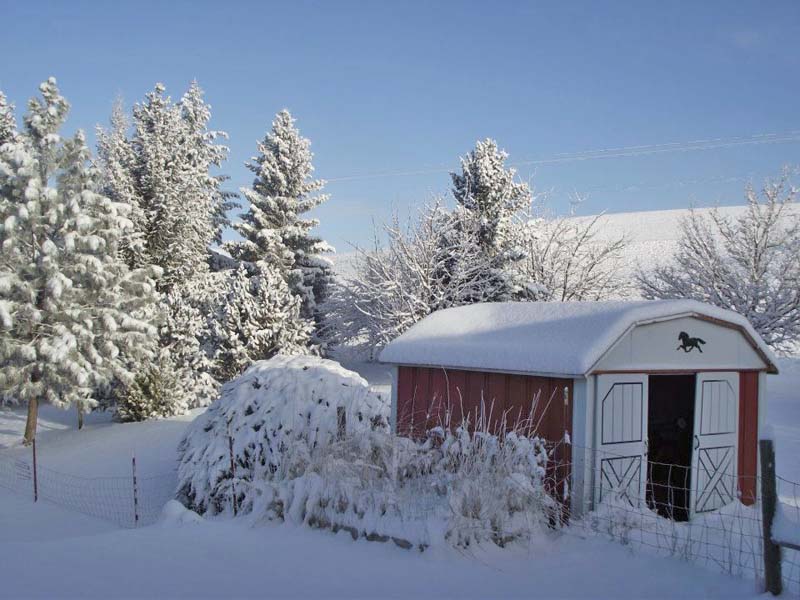 authors_old_shed