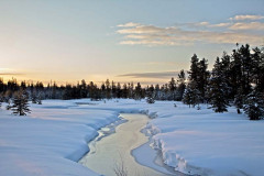 Winter Sunrise, Island Park, Idaho
