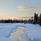 Winter Sunrise, Island Park, Idaho