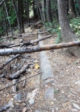 IDMag_Murray_old_pipe_in_woods