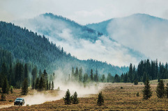 Structure protection and burnout of roads and natural barriers will help slow the progression of the main fire in the East Fork of Baker Creek, in the Sawtooth National Forest, during the Beaver Creek Fire, northwest of Hailey, ID, on Tuesday, Aug 20, 2013. Many homes are nestled in thick groves of trees. Feller and skidders are used to thin the density of trees close to homes. USDA Photo by Lance Cheung.