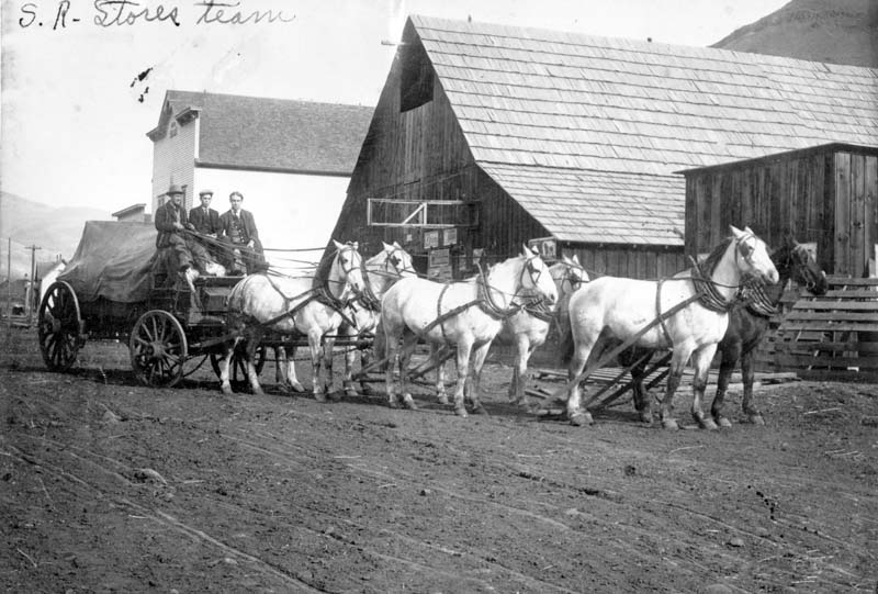 Freight wagons