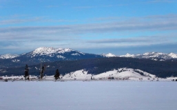 Landscape near Cascade, Winter