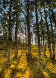 MiddleMtnNearBurley_BLMIdaho_CCby2.0