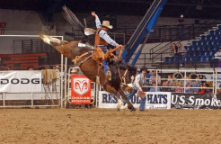 Dodge National Finals Rodeo