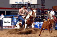 Dodge National Finals Rodeo
