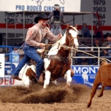 Dodge National Finals Rodeo