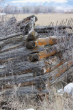 old-tetonia