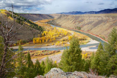 Swan Valley Autumn