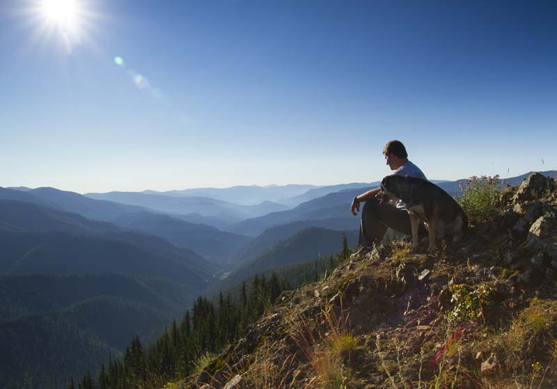 Idaho, North, Shoshone County, St. Joe National Forest. A hiker and his dog rest near the top of Moon Pass overlooking the St. Joe river drainage on a summer morning.
