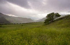 Idaho, North Central, Whitebird, Pittsburg Landing. The green of spring in Hells Canyon under stormy skies.