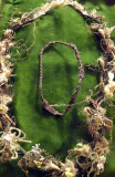 Hair wreath