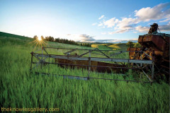 Old combine in a field at sunrise