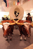 museum-oxen
