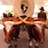 museum-oxen
