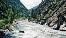 Salmon River