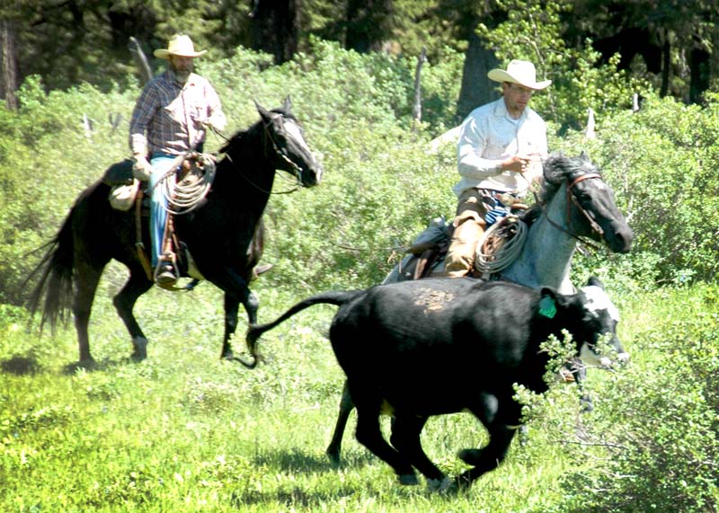 The author's uncle, Wade, on Spade (left) and brother, Rick, on Tess. Courtesy of Paige Nelson