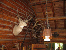 Trophies and a hand-made light fixture. By Geraldine Mathias