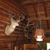 Trophies and a hand-made light fixture. By Geraldine Mathias