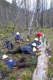 rolling-fork-log