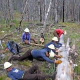 rolling-fork-log