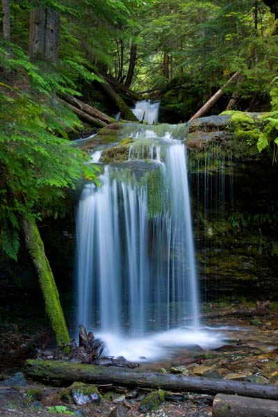 Idaho,North,Coeur d'Alene National Forest. Yellow Dog Creek drops over Fern Falls, a tributary to the Coeur d'Alene River.
