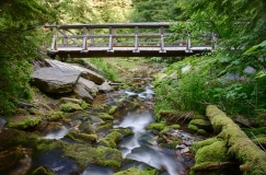 Idaho, North, Kingston, Prichard. The trail bridge at Fern Falls in late spring.