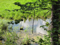 pinehurst-quiet-moment-along-the-bike-path