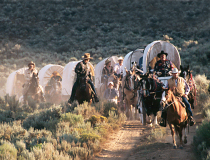 2003, First Place Professional Division, by Ross Walker