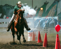 2008, First Place Adult Division, by Tom Davenport