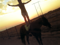 2008, First Place Youth Division, by Lexi Neal.