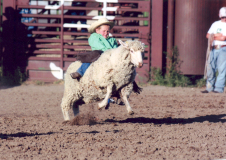 2009, First Place Youth Division, by McCall Hopkins