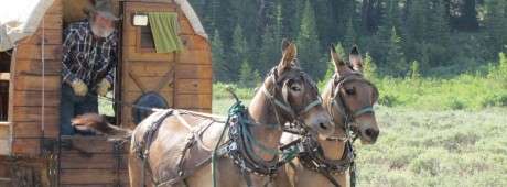 During one of numerous camping trips into south-central Idaho's Copper Basin, the author and friends explore and discuss what exactly constitutes good stewardship of the land.