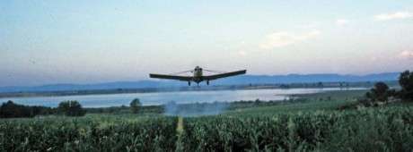 A longtime friend of the author belongs to one of central Idaho's most prominent crop-dusting families. This is their story.