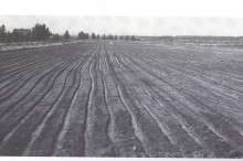 Fertile Farmland Drilled Full of Holes
