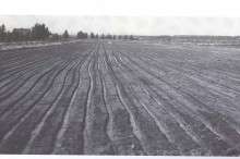 Fertile Farmland Drilled Full of Holes