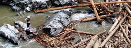 An eight-day rafting trip on the Middle Fork of the Salmon River goes awry when a mudslide-caused logjam dams the river, stranding everyone. 